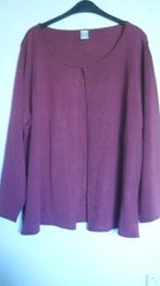 Fuchsia rose -vest maat 52, Ophalen of Verzenden, Zo goed als nieuw, Roze, Trui of Vest