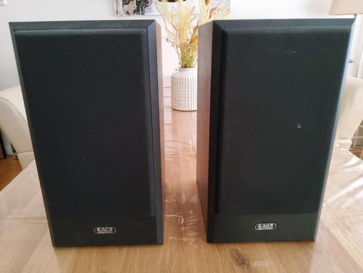 Luidsprekers Acoustic Energy Aegis One, Audio, Tv en Foto, Luidsprekers, Gebruikt, Front, Rear of Stereo speakers, Overige merken