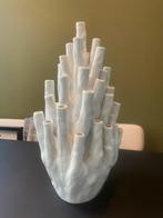 Polspotten koraal vaas 50 tulpen, Huis en Inrichting, Ophalen, Overige kleuren, Minder dan 50 cm, Glas