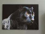 Canvas schilderij Zwarte panter, Ophalen, 125 cm of meer, Zo goed als nieuw, Schilderij