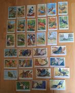 VOGEL - EN VLINDER PLAATJES - F. DE VRIES, Verzamelen, Merken en Reclamevoorwerpen, Ophalen of Verzenden, Overige typen