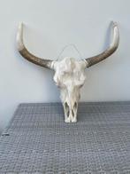 Decoratieve Buffelkop - 70cm, Ophalen of Verzenden, Zo goed als nieuw