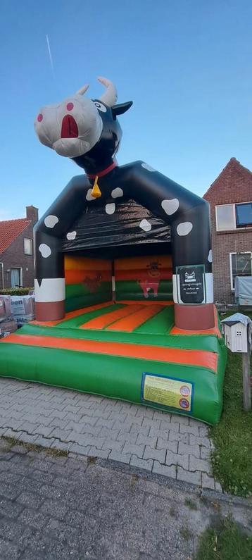 Springkussen te huur koe beschikbaar voor biedingen