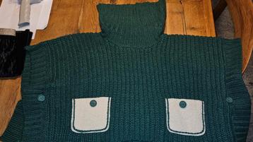 "Poncho" ( Didi) beschikbaar voor biedingen