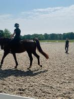 Instructrice, Paardrijles of Ponykampen