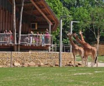 € 5 euro korting pp Zoo Planckendael (max. 4 personen) beschikbaar voor biedingen