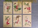 Set van 6 botanische kaarten,  nieuw Nederlands design, Verzenden, 1980 tot heden, Overige thema's