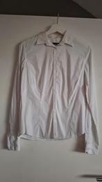 Witte getailleerde blouse - Maat XL (Italiaans), Ophalen of Verzenden, Zo goed als nieuw, Maat 46/48 (XL) of groter, Wit