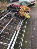 Rekken  voor  kisten met planten  om te etaleren ., Ophalen, Gebruikt, IJzer
