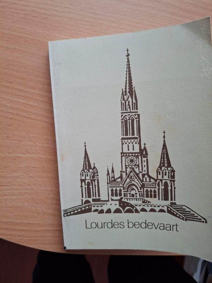 Oude Lourdes Bedevaart Gids, Verzamelen, Religie, Zo goed als nieuw, Christendom | Katholiek, Boek, Ophalen of Verzenden