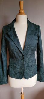 Jasje van Expresso, Expresso, Ophalen of Verzenden, Zo goed als nieuw, Maat 36 (S)