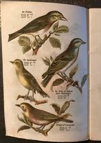 Oude Vogel Atlas - D. Bolle Rotterdam, Ophalen of Verzenden