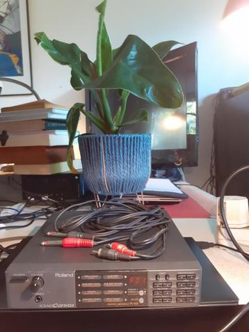 Roland P-55 Piano Module beschikbaar voor biedingen
