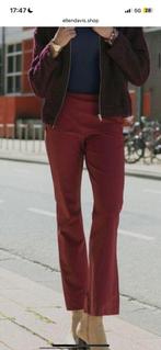 Studio Anneloes merlot flair bonded broek travelstof mt L, Ophalen of Verzenden, Zo goed als nieuw, Maat 42/44 (L), Lang