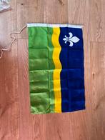Flevolandse Vlag 50x75cm, Ophalen of Verzenden, Zo goed als nieuw