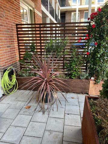 Bloembakken van hout 200cm x40x36 mogelijk met trellis 176cm beschikbaar voor biedingen