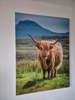Schotse Hooglander Print - Stoer & Industrieel, Huis en Inrichting, Woonaccessoires | Schilderijen, Tekeningen en Foto's, Ophalen of Verzenden
