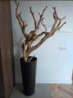 Ghostwood takken, Ophalen