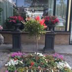 Sierlijke tuindecoratie, betonnen bloempotten op staanders, Nieuw, Tuin, 60 cm of meer, Beton