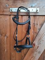 FRA bitloos hoofdstel maat pony, Ophalen of Verzenden, Gebruikt