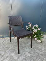 Siësta Capri Rattan Kunststof Stoel, Ophalen, Kunststof, Bruin, Nieuw