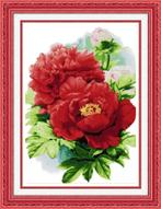 # Groot compleet borduurpakket; Pioenroos - big red #, Ophalen of Verzenden, Nieuw, Handborduren, Borduurpakket