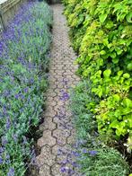 Cobblestones, Tuin en Terras, Ophalen, Gebruikt