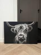 Canvas doek Schotse hooglander, Ophalen of Verzenden, Zo goed als nieuw, Schilderij, 75 cm of meer
