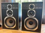 Philips 494 Vintage Speakers - Topline!, Audio, Tv en Foto, Luidsprekers, Ophalen, Philips, Gebruikt, 60 tot 120 watt