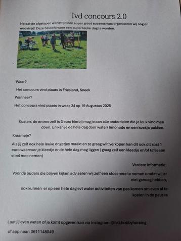 Hobbyhorse wedstrijd  beschikbaar voor biedingen