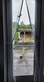 Nieuw vliegengordijn met magneetsluiting., 80 tot 100 cm, Overige typen, Nieuw, Ophalen of Verzenden