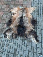 Mooie dierenhuid - ca. 75 cm, Gebruikt, Bruin, Overige vormen, 50 tot 100 cm