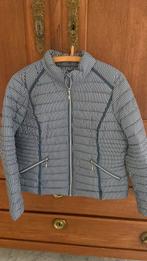 Gewatteerd jasje, Blauw, Maat 42/44 (L), Ophalen of Verzenden, Zo goed als nieuw