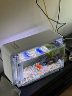 Aquarium superfish home 30, Ophalen, Zo goed als nieuw, Leeg aquarium