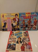 3x LP zomerhits en warm aanbevolen, Ophalen of Verzenden, Gebruikt, 12 inch, Pop