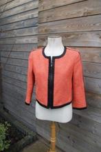 Jasje oranje/ zwart Apriori mt 38 Winter Vaste prijs AANBIED, Kleding | Dames, Maat 38/40 (M), Oranje, Ophalen of Verzenden, Zo goed als nieuw