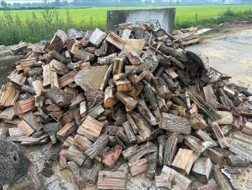 Gekloofd brandhout 4 kuub beschikbaar voor biedingen