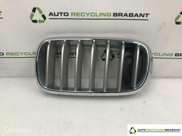 Grill Links BMW X5 F15 NIEUW ORIGINEEL NIGHT VIEW  7308660 beschikbaar voor biedingen