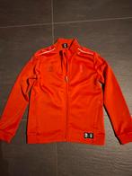 Willem II Rode Robey Jas - Maat 152, Jongen of Meisje, Ophalen of Verzenden, Zo goed als nieuw, Robey