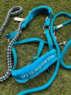 Te koop halsters, Dieren en Toebehoren, Paarden en Pony's | Hoofdstellen en Tuigage, Ophalen of Verzenden, Zo goed als nieuw, Overige soorten