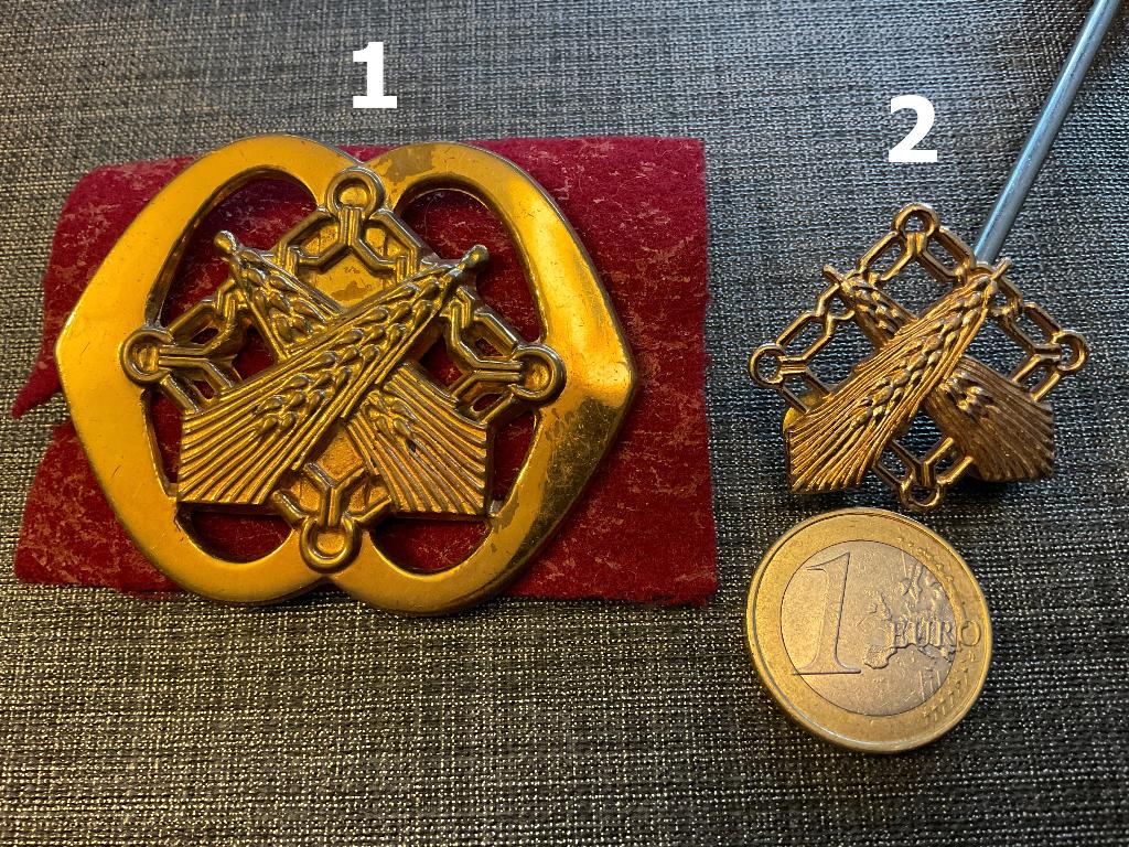 Baret Embleem Regiment Intendance, Verzamelen, Ophalen, Landmacht, Nederland, Embleem of Badge