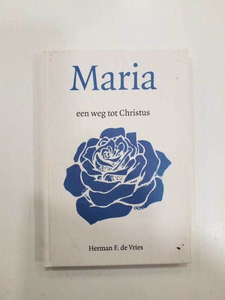H. de Vries - Maria, Boeken, Godsdienst en Theologie, Zo goed als nieuw, Ophalen of Verzenden
