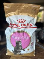 Maine Coon kitten brokjes 4 kg, Ophalen of Verzenden