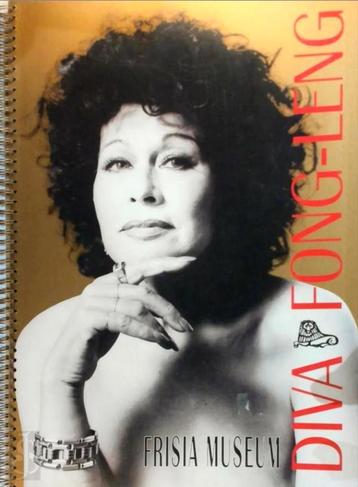 DIVA FONG-LENG Frisia Museum XXL-formaat Nederlands beschikbaar voor biedingen