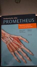 Prometheus Anatomische Atlas - Oefentherapie HBO, Boeken, Nieuw, Michael Schünke, Erik Schulte, Udo Schumacher, Beta, HBO