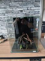 Compleet startklaar Dennerle Nanocube  | 30L Dit Weekend €50, Ophalen, Zo goed als nieuw, Leeg aquarium