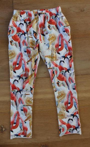 Pyjamabroek van Wild 122/128 beschikbaar voor biedingen