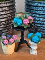 Miniatuur hortensia's, schaal 1:12, Ophalen of Verzenden, Nieuw, Decoratie
