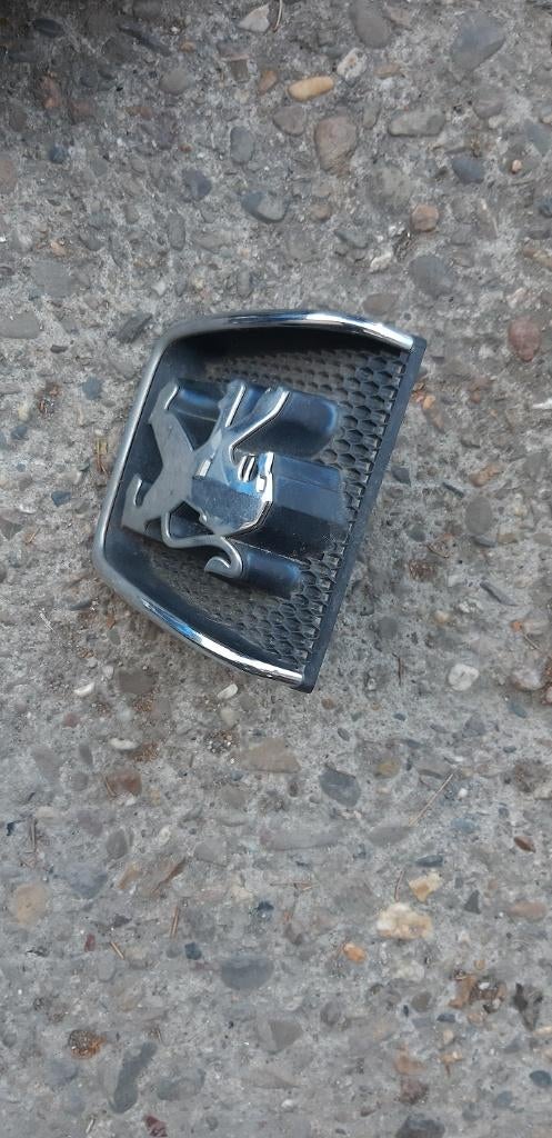 Embleem voorzijde Peugeot 307 uit 2004, Ophalen of Verzenden