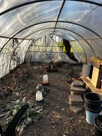 Tunnelkas, Tuin en Terras, Kassen, Ophalen, Folie, Gebruikt, Staal